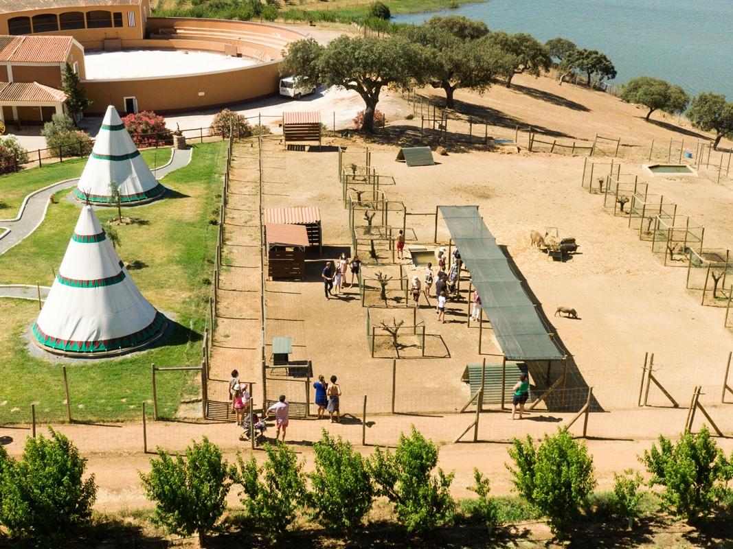 Gale Alentejo Vineyard - Clube De Campo Albernoa