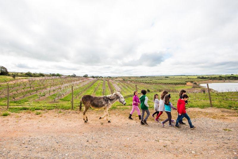 Hotel Gale Alentejo Vineyard - Clube De Campo 4*