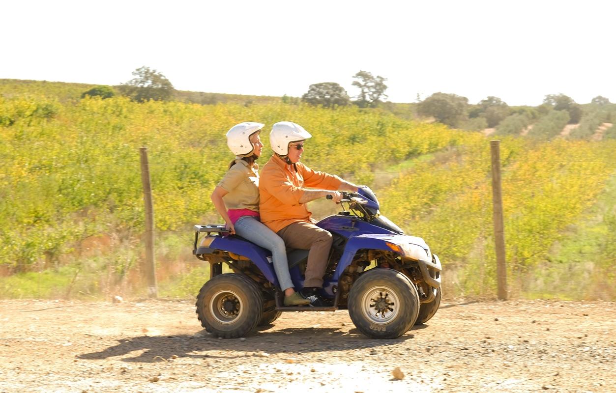 Gale Alentejo Vineyard - Clube De Campo Hotel Albernoa