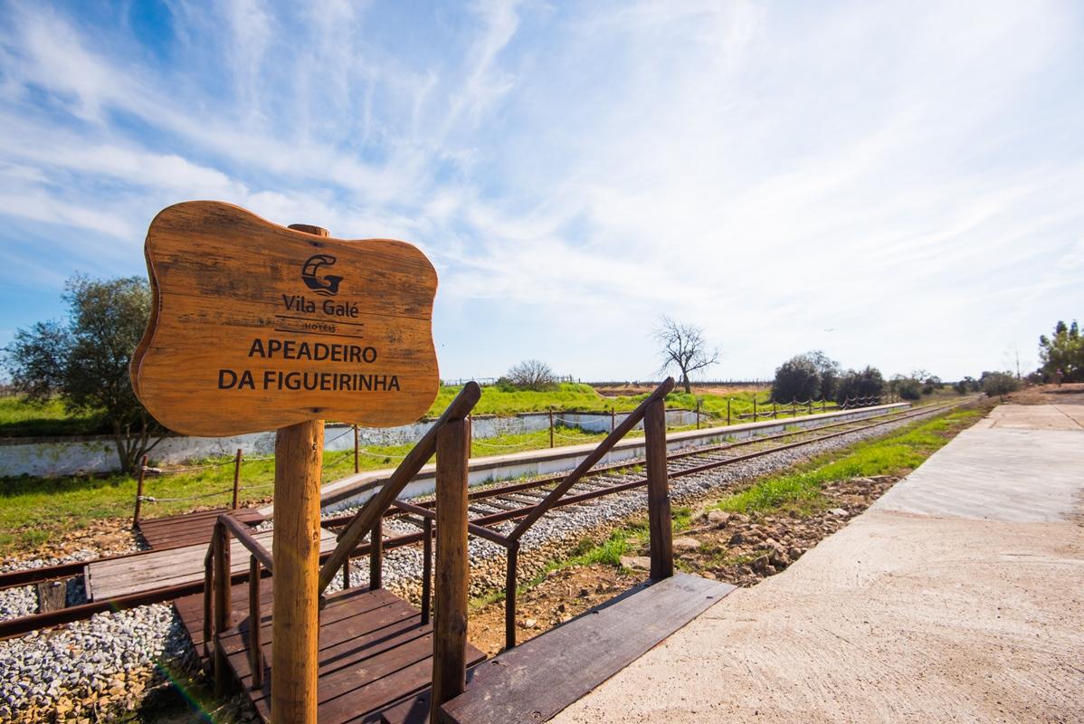 Gale Alentejo Vineyard - Clube De Campo Hotel