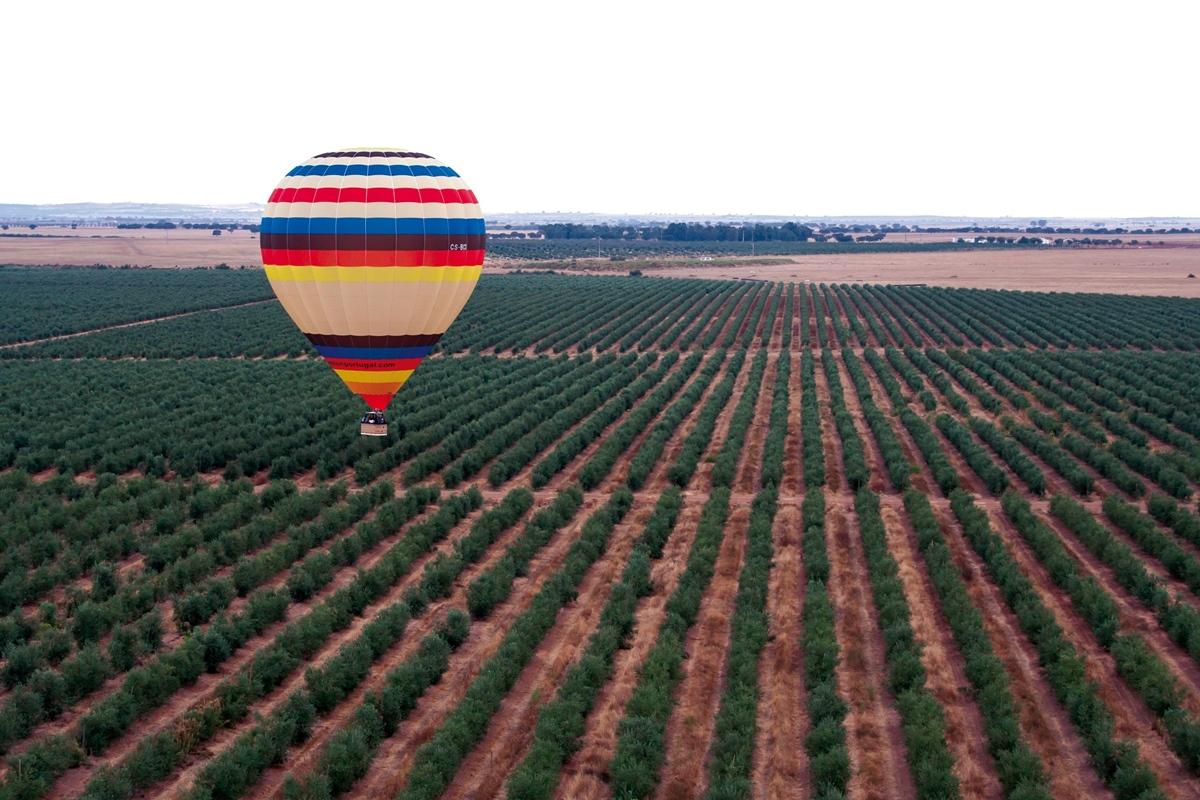 Gale Alentejo Vineyard - Clube De Campo Hotel