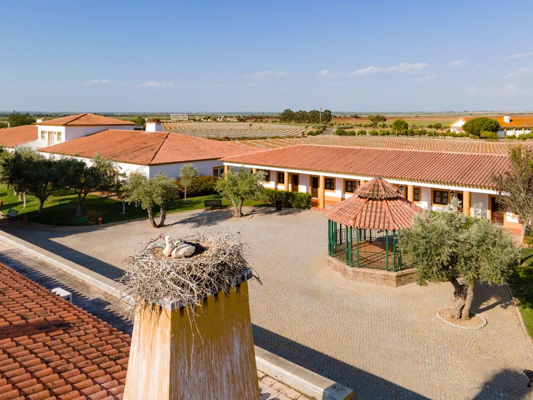 Gale Alentejo Vineyard - Clube De Campo Hotel 4*