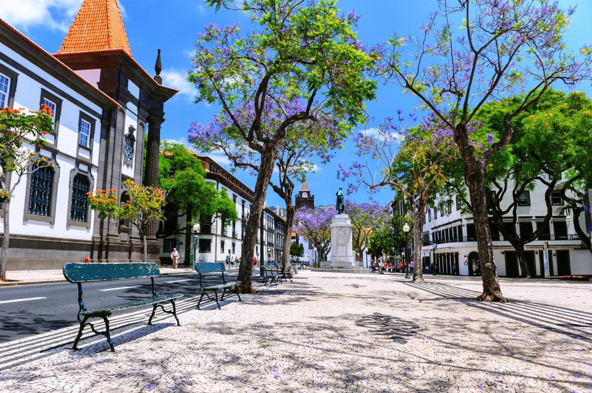 Stylish With Balcony And Amazing Views Over Funchal And The Sea Apartamento