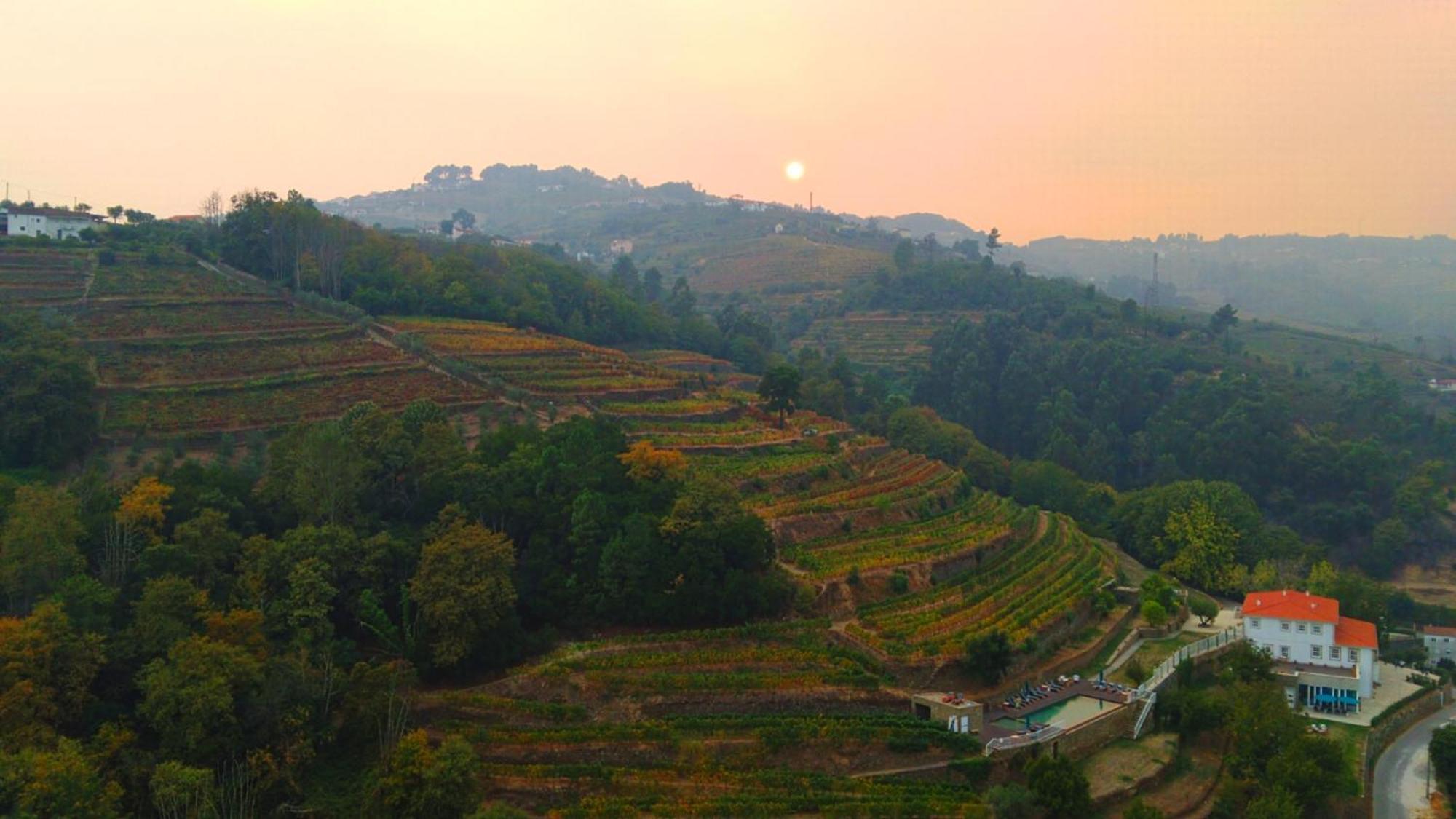 Quinta De Travassinhos- Douro Valley & Santa Marta de Penaguiao