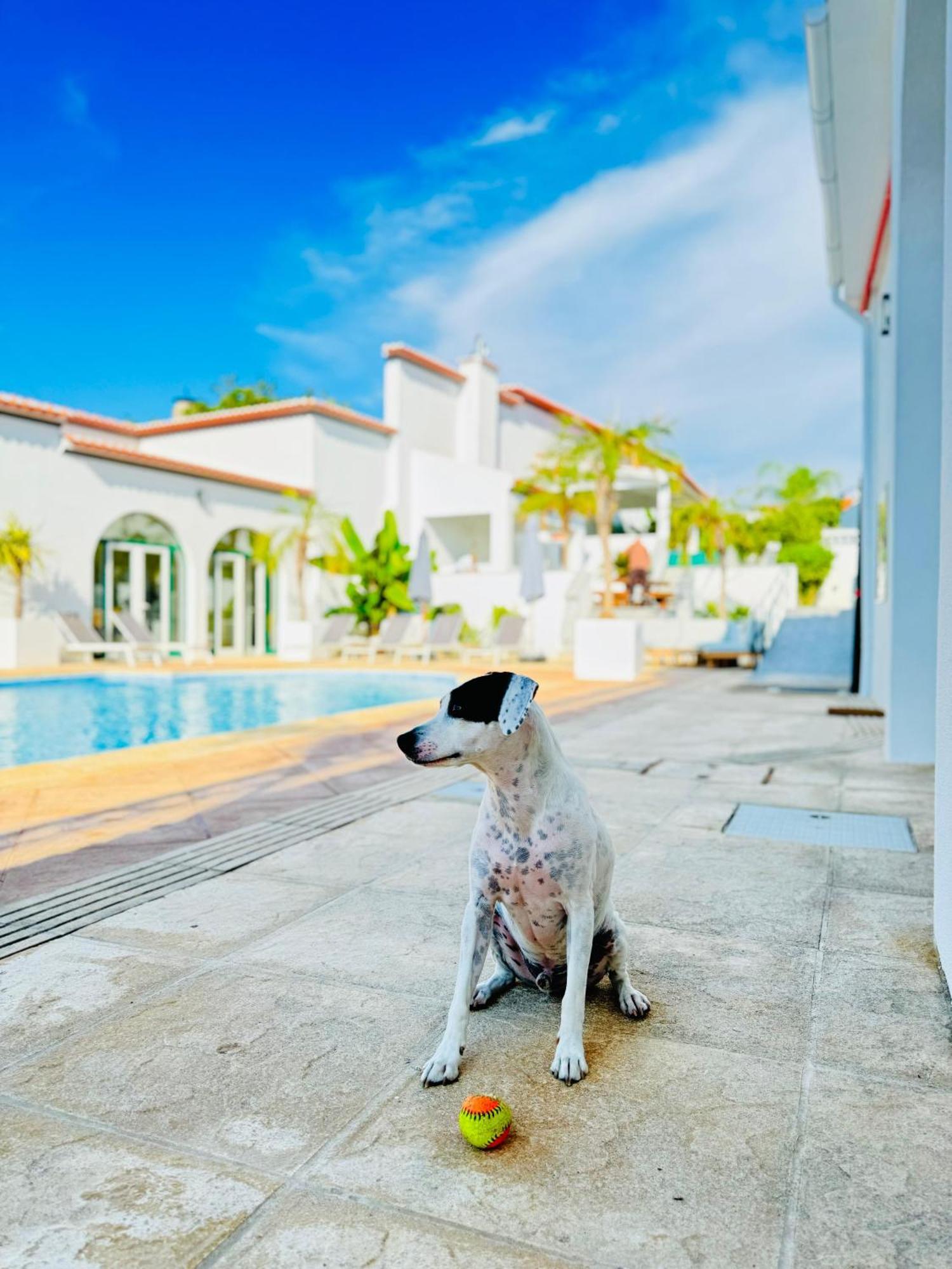 Solar Dos Frades Guest house *