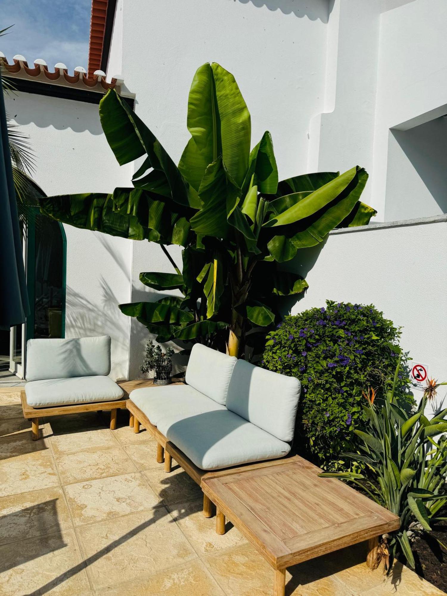 Solar Dos Frades Guest house Ferreira Do Alentejo