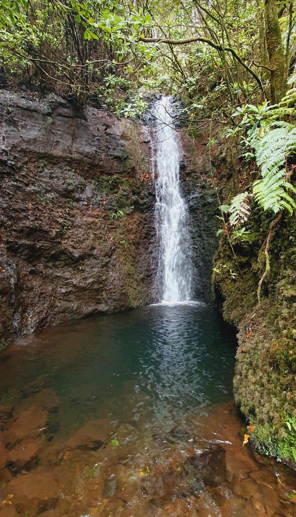 Achadas Nature Chácara *