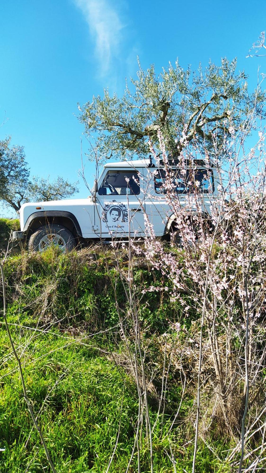 Farm stay Casa D'augusta - *