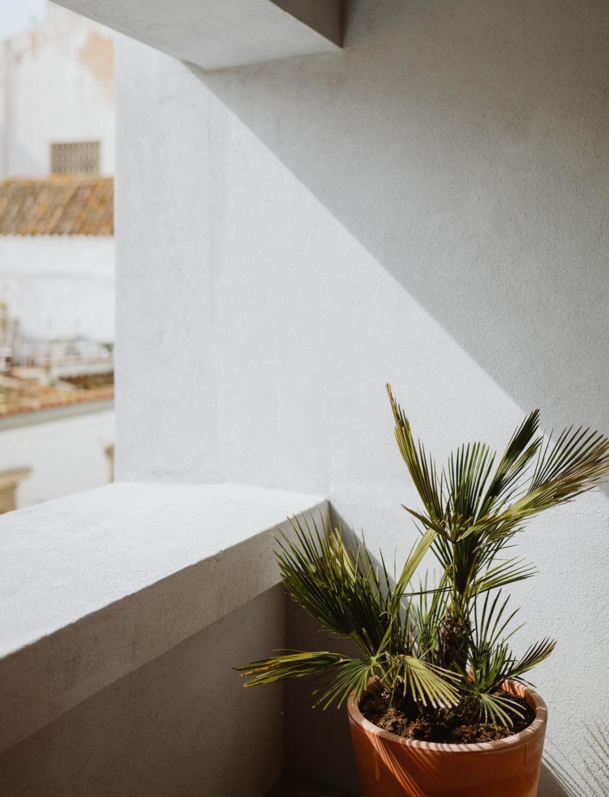 The Modernist, Architecture Experience Apartment Faro