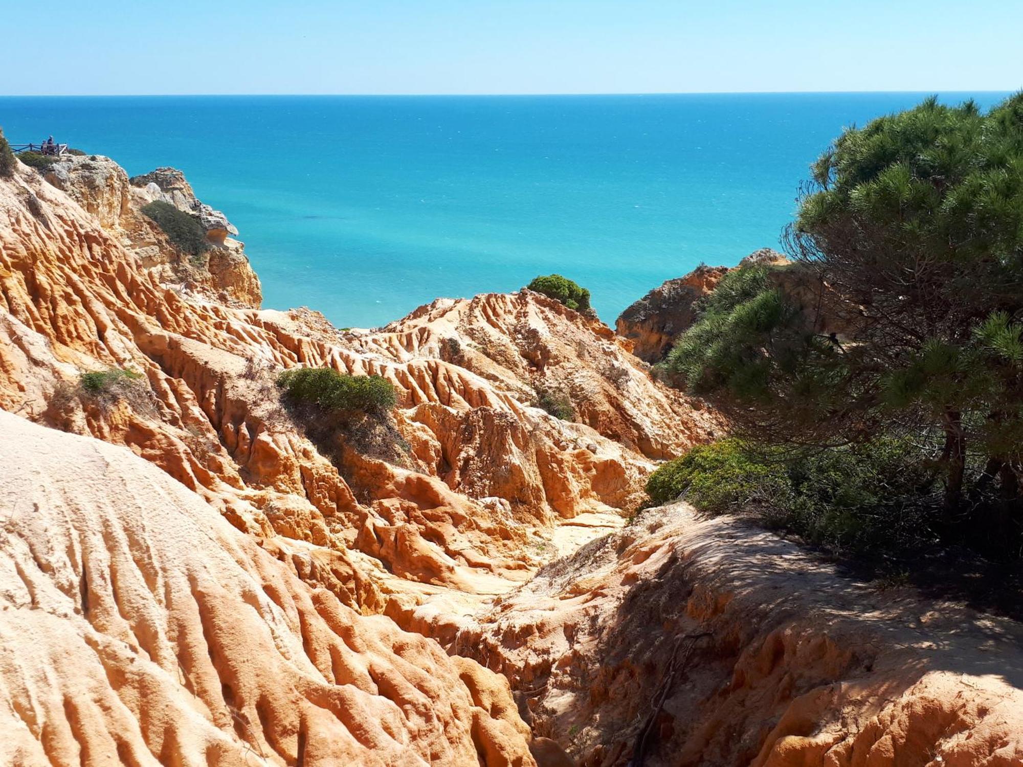 Amelia - Always Algarve Apartment *