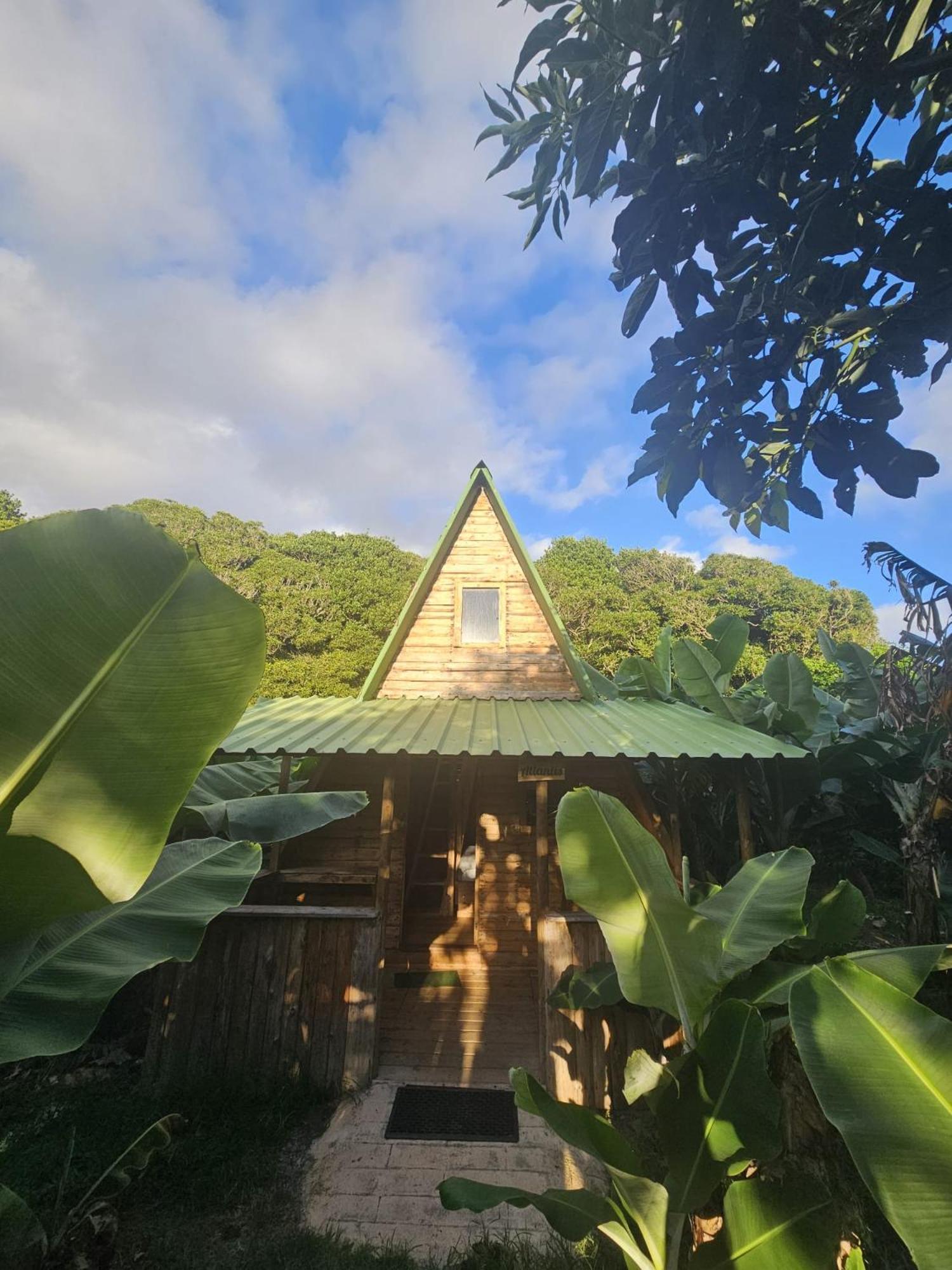 Campsite Banana Eco Camp *
