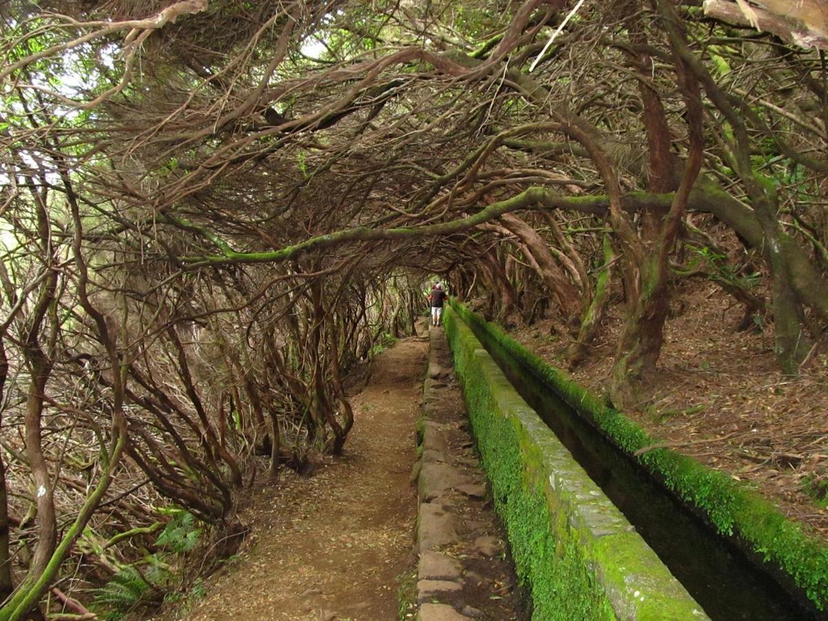 Beautiful View 3 - Ilha Da Madeira Apartment