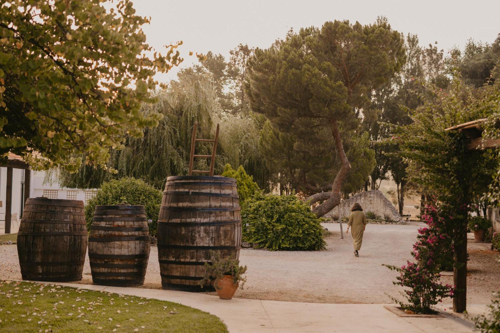 Quinta Carvalhas - The Green Farm Casevel