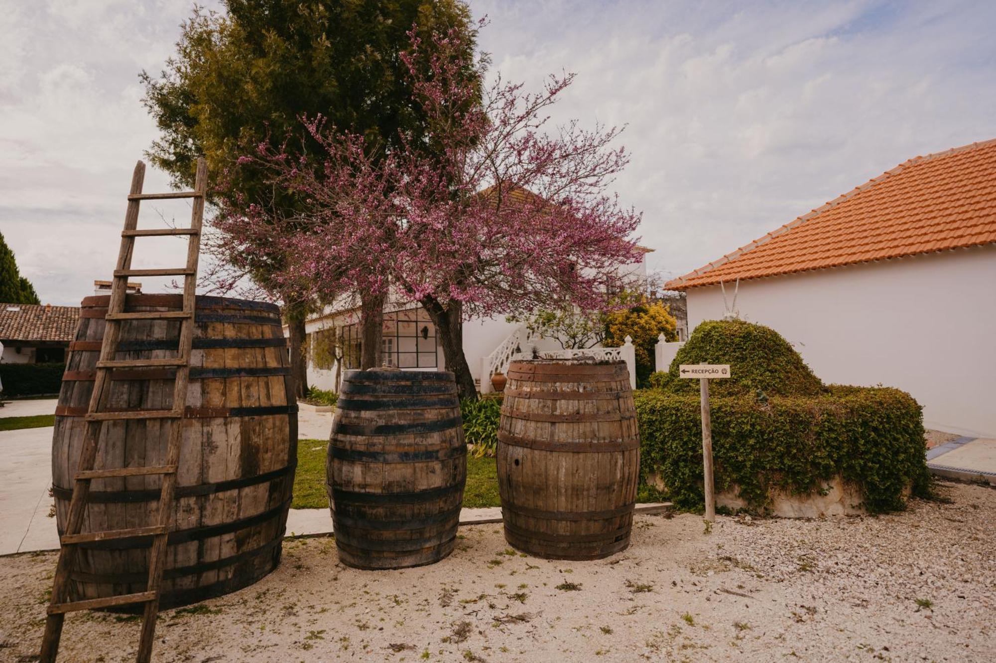 Resort Quinta Carvalhas - The Green Farm