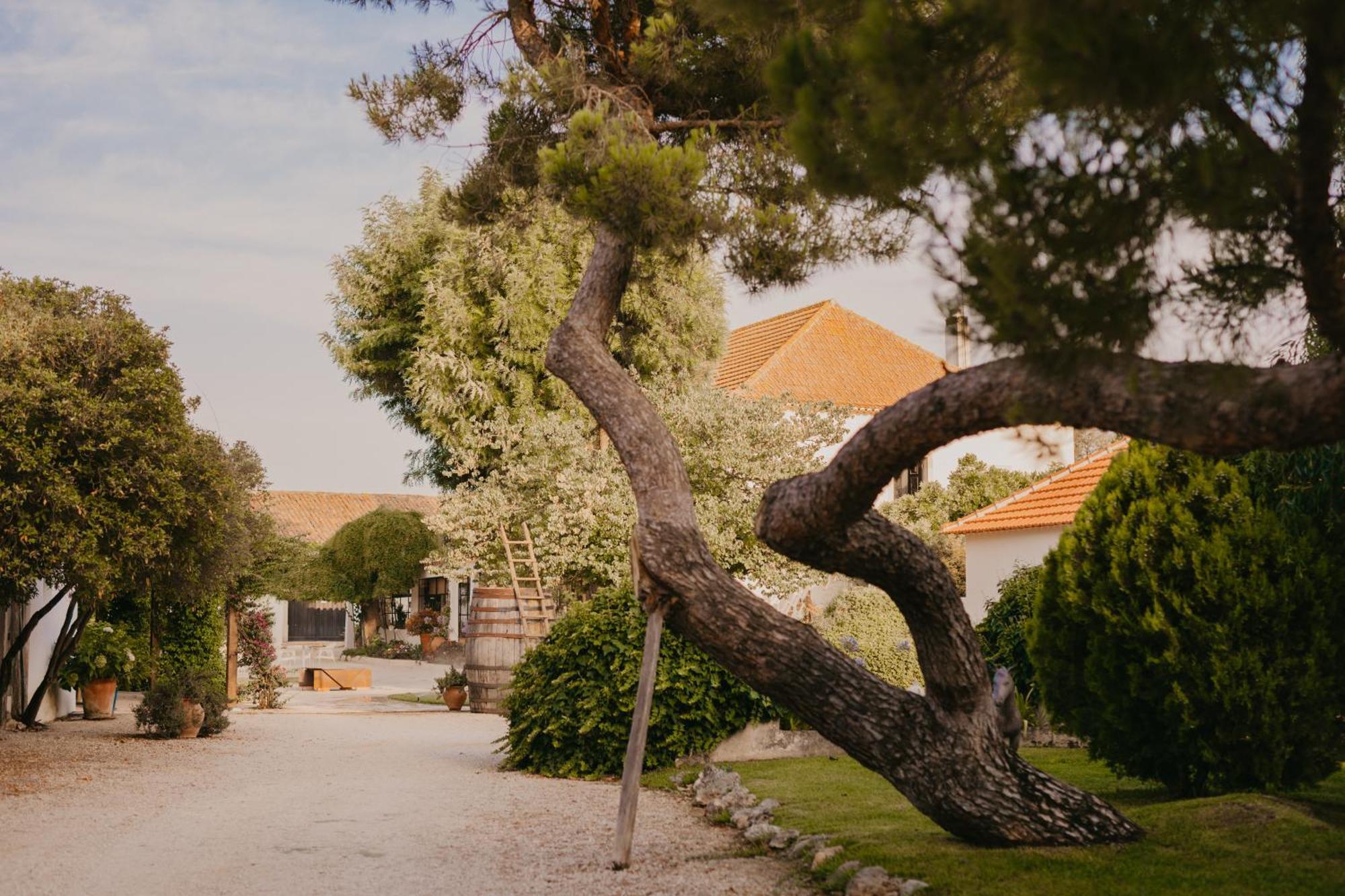 Resort Quinta Carvalhas - The Green Farm Casevel