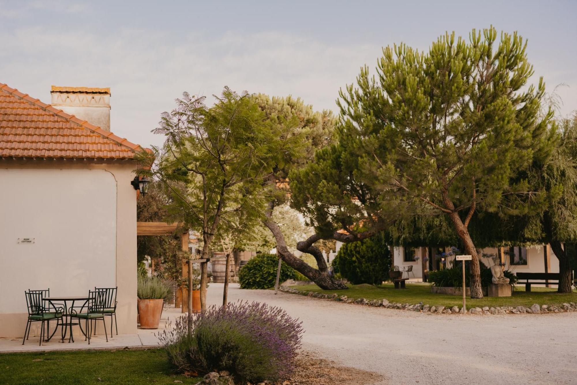Quinta Carvalhas - The Green Farm