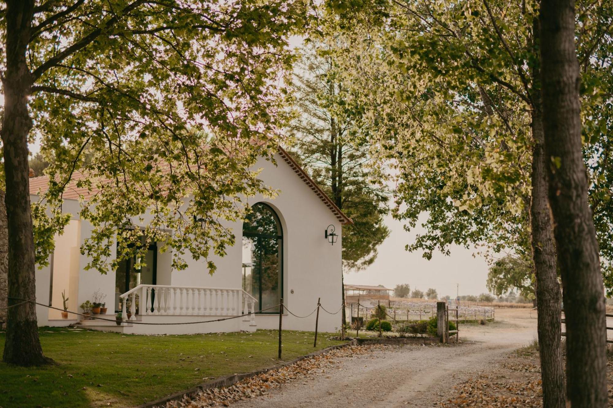 Quinta Carvalhas - The Green Farm Resort