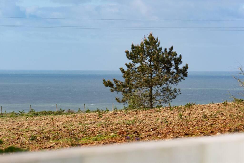 Presente Haven - Walk To Reserve & Town Holiday home