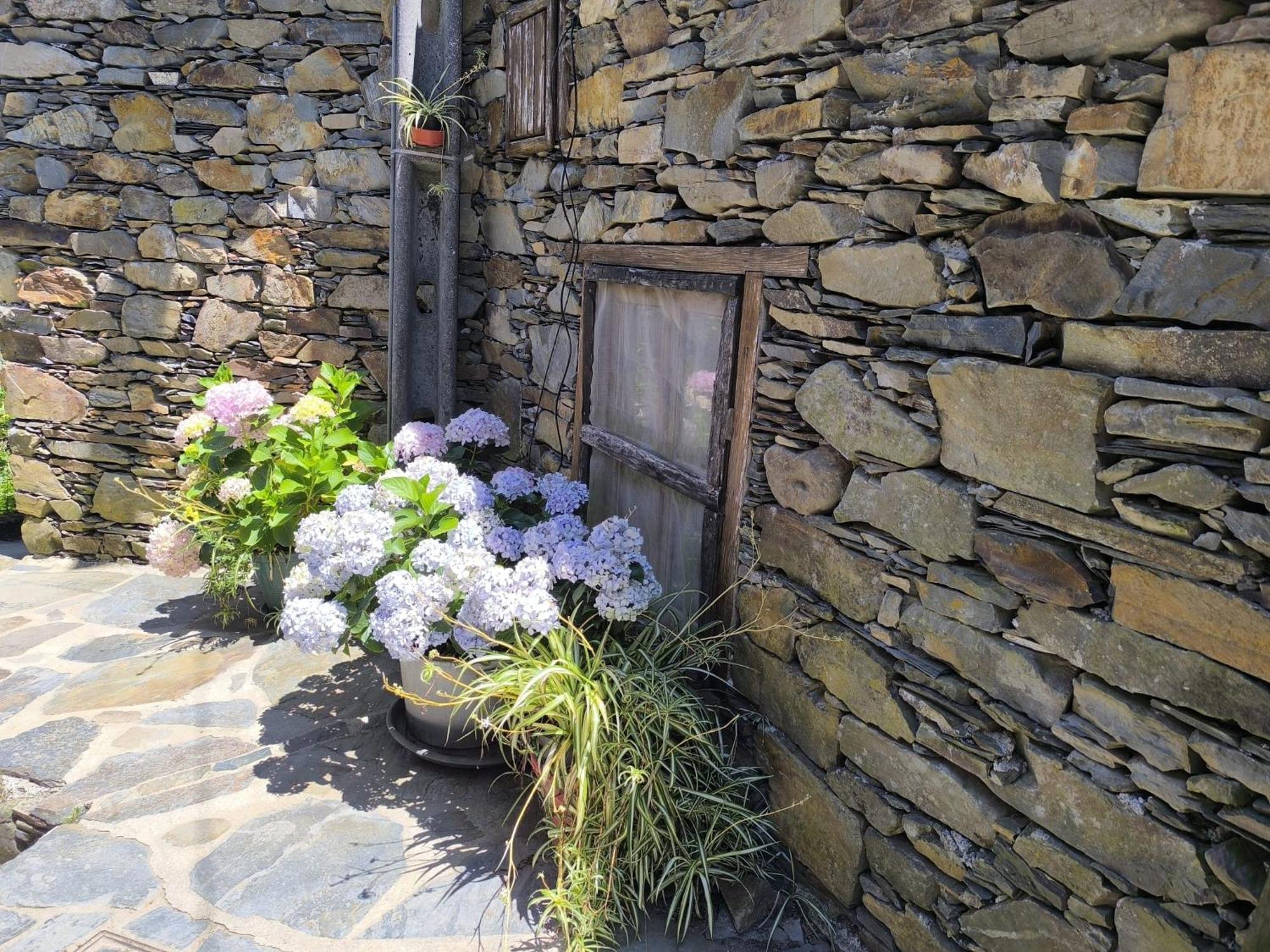 Casa Do Pastor Lousã