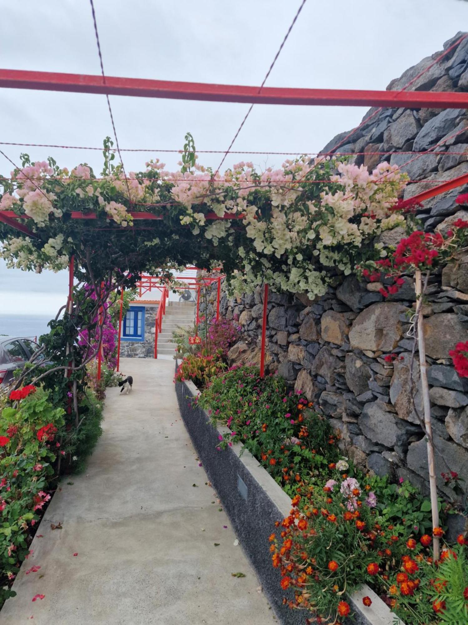 Casa Dinastia Sotao Y Casa Dinastia Miramar Ribeira Brava