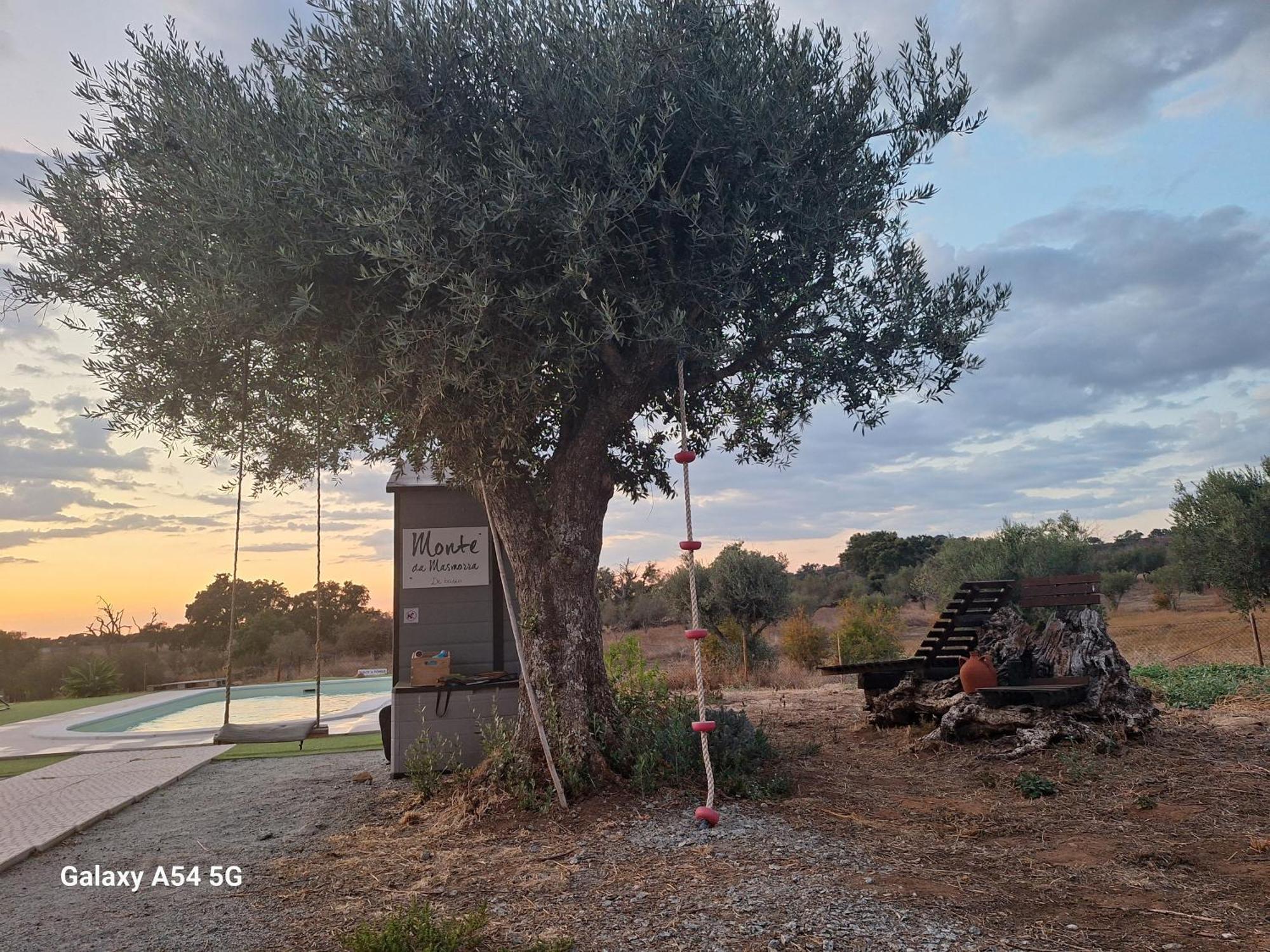 Monte Da Masmorra De Baixo-casa Alentejana * Montemor-o-Novo