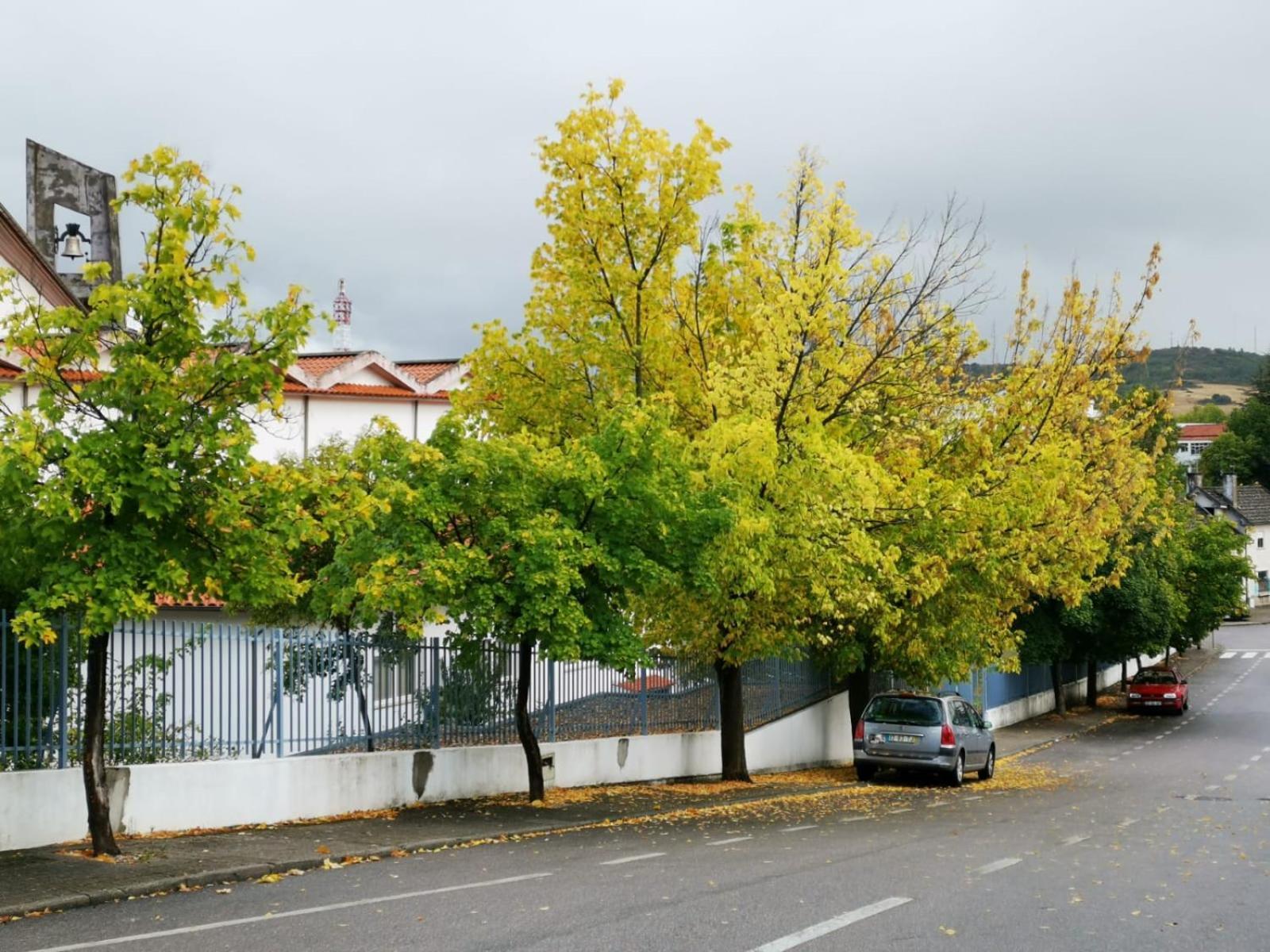 Casa Flipe - C Braganca