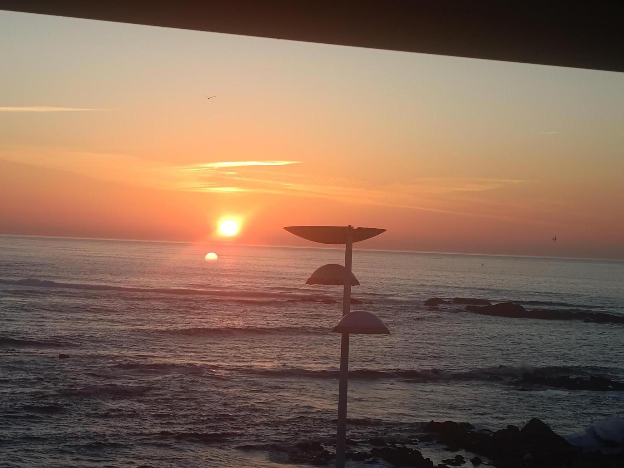Cachinnans & Vila do Conde