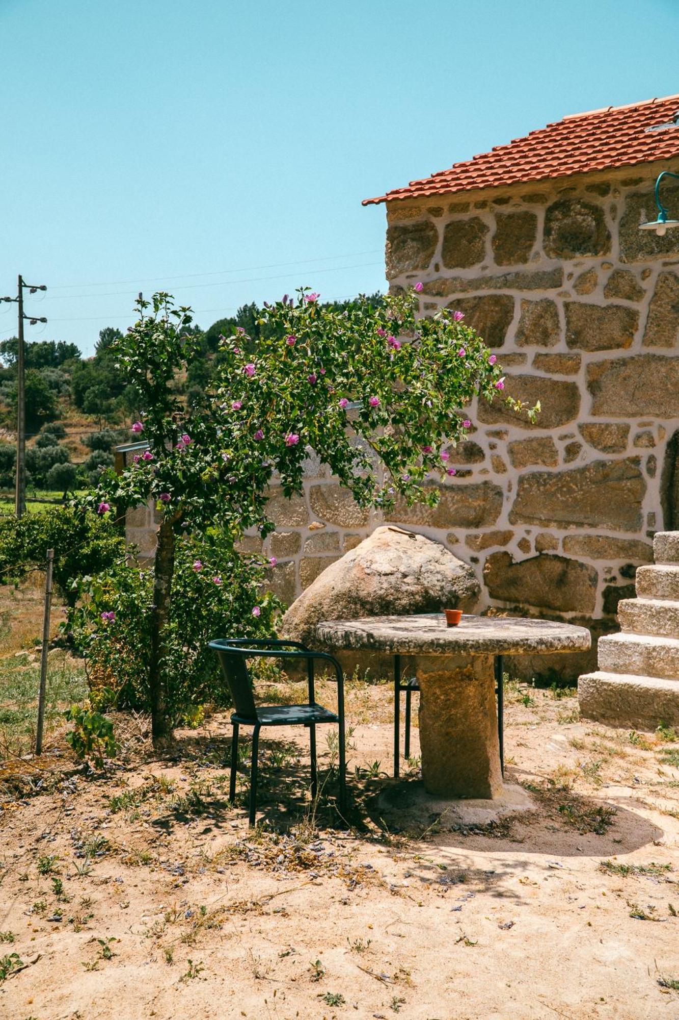 Holiday home Casa Do Marujo E Casa Do Mirone Fornos de Algodres