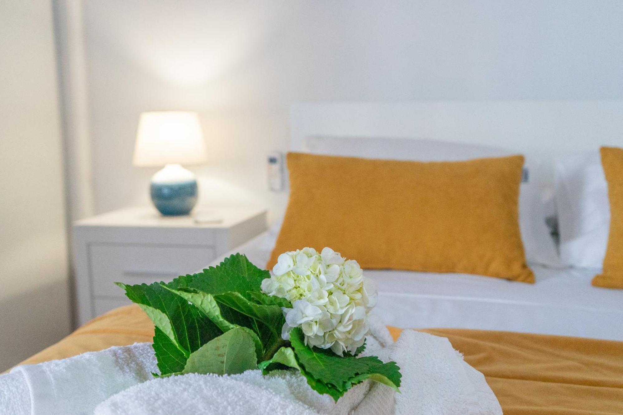 Maria's Haven Holiday home Santo Antonio (Sao Miguel)