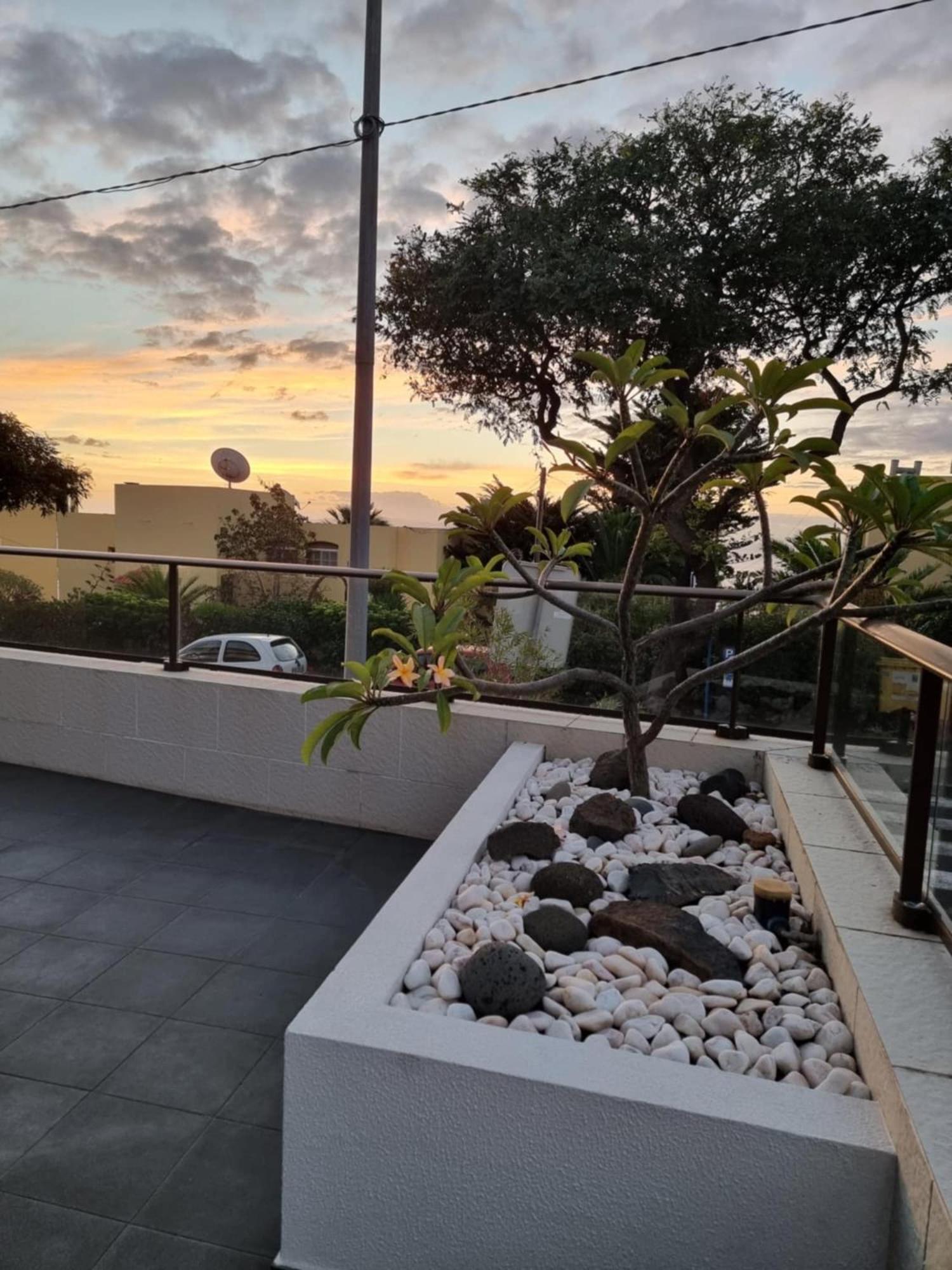 Casa Savannah Sun Apartment