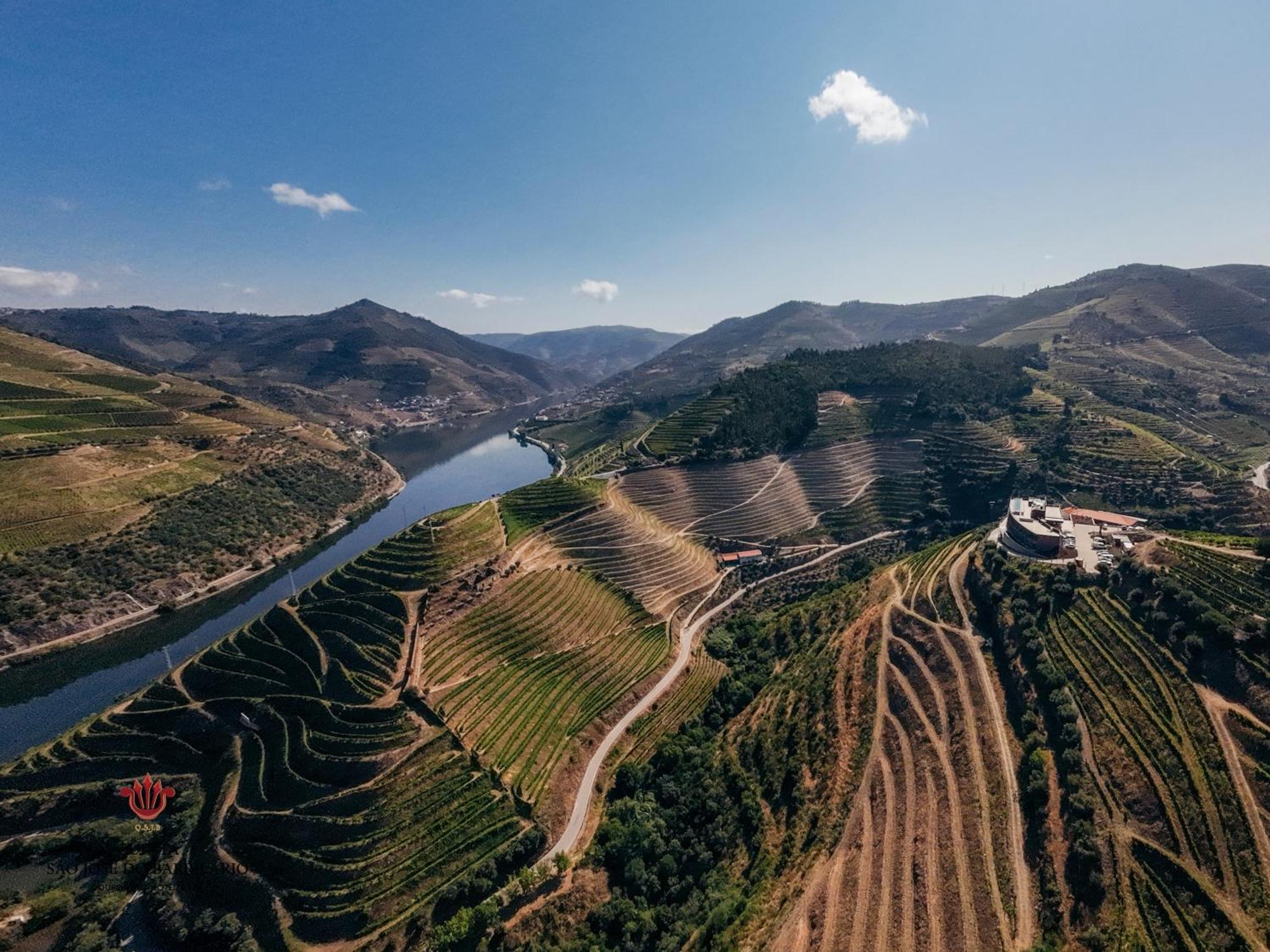 Hotel Barrilario Douro Wine E - Quinta Sao Jose Do Barrilario Armamar