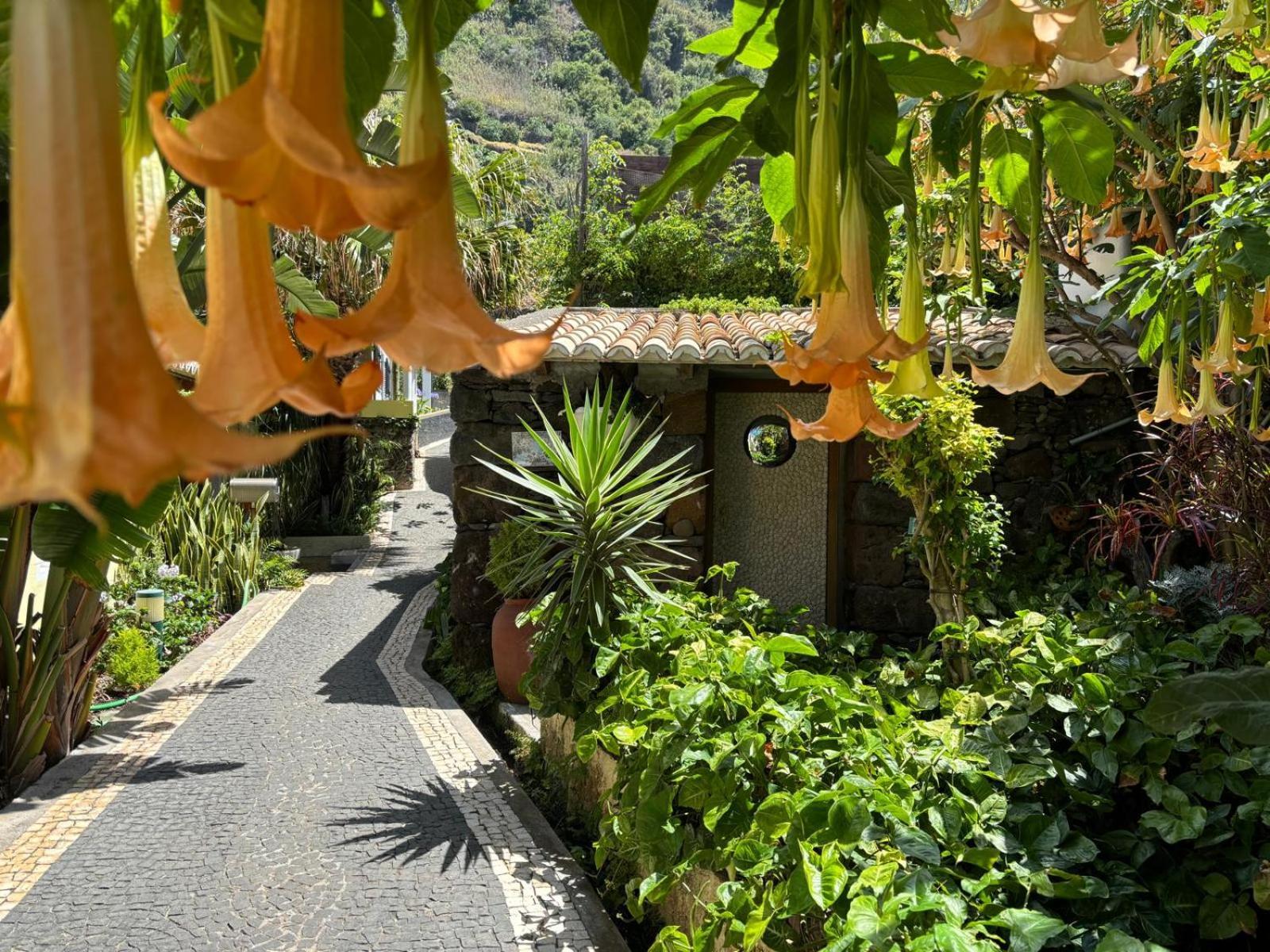 Bela Vigia 3 Homestay