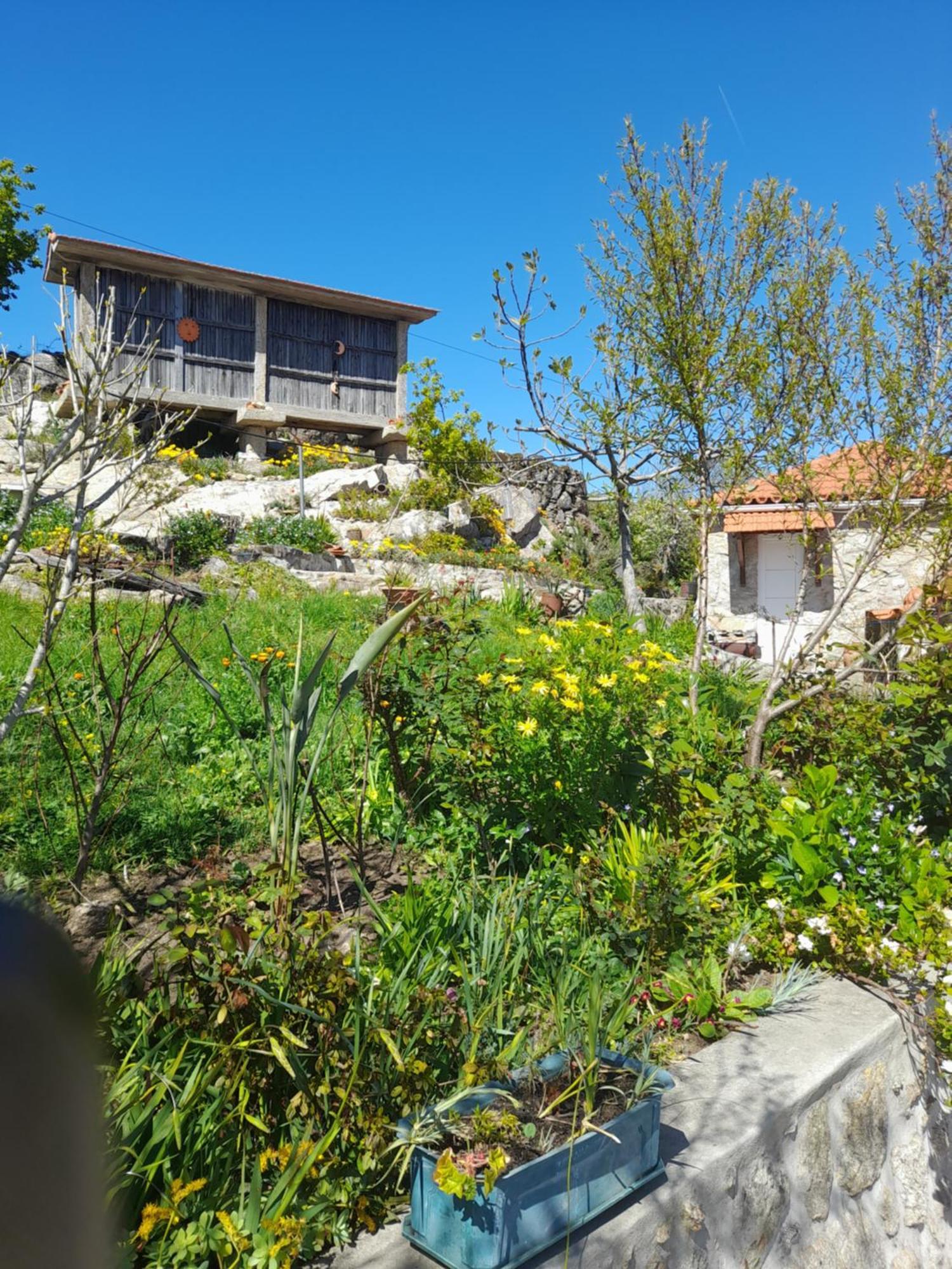 Guest house Sao Lourenco Viseu