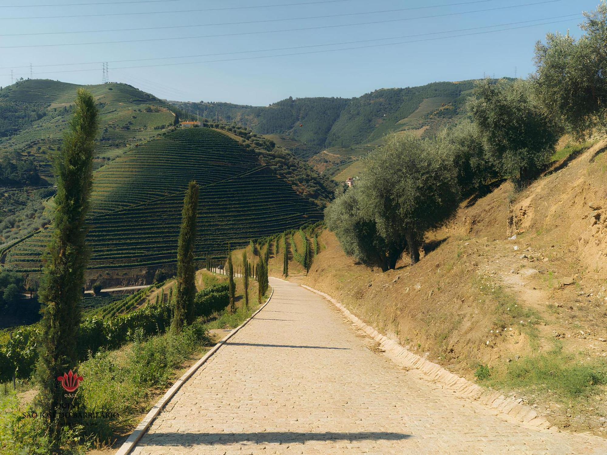 Barrilario Douro Wine E - Quinta Sao Jose Do Barrilario Armamar
