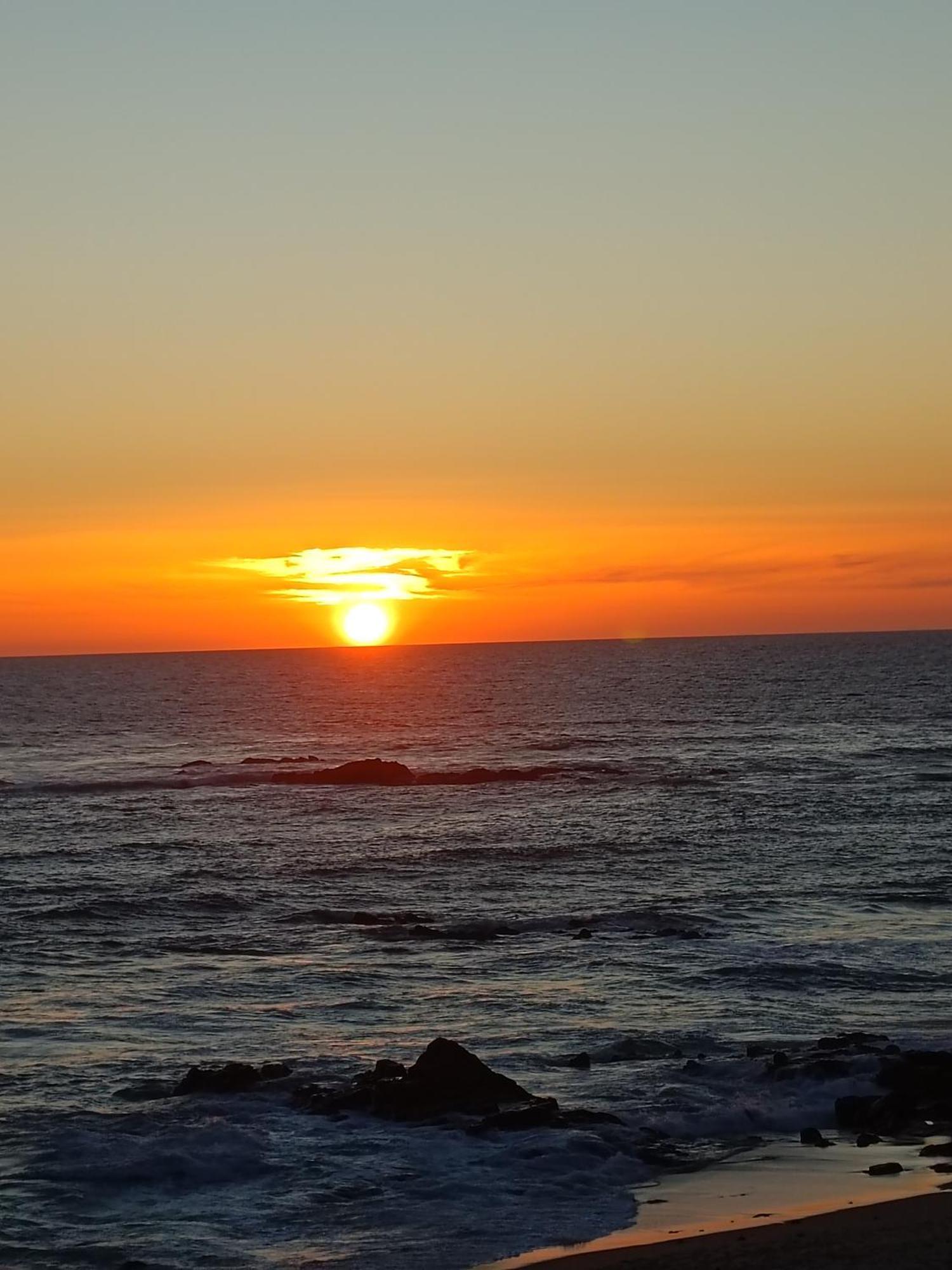 Cachinnans & * Vila do Conde
