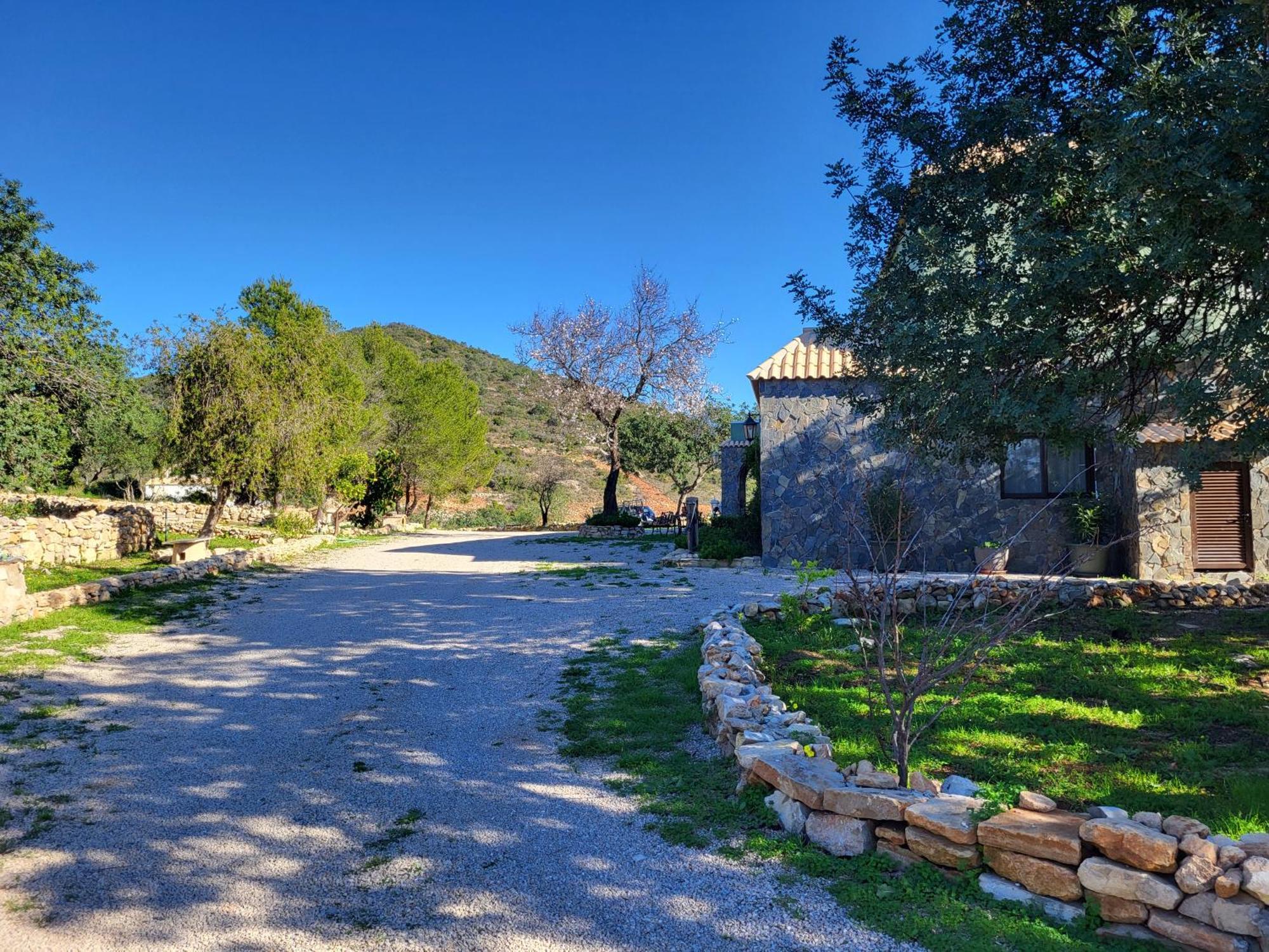 Vista Magica