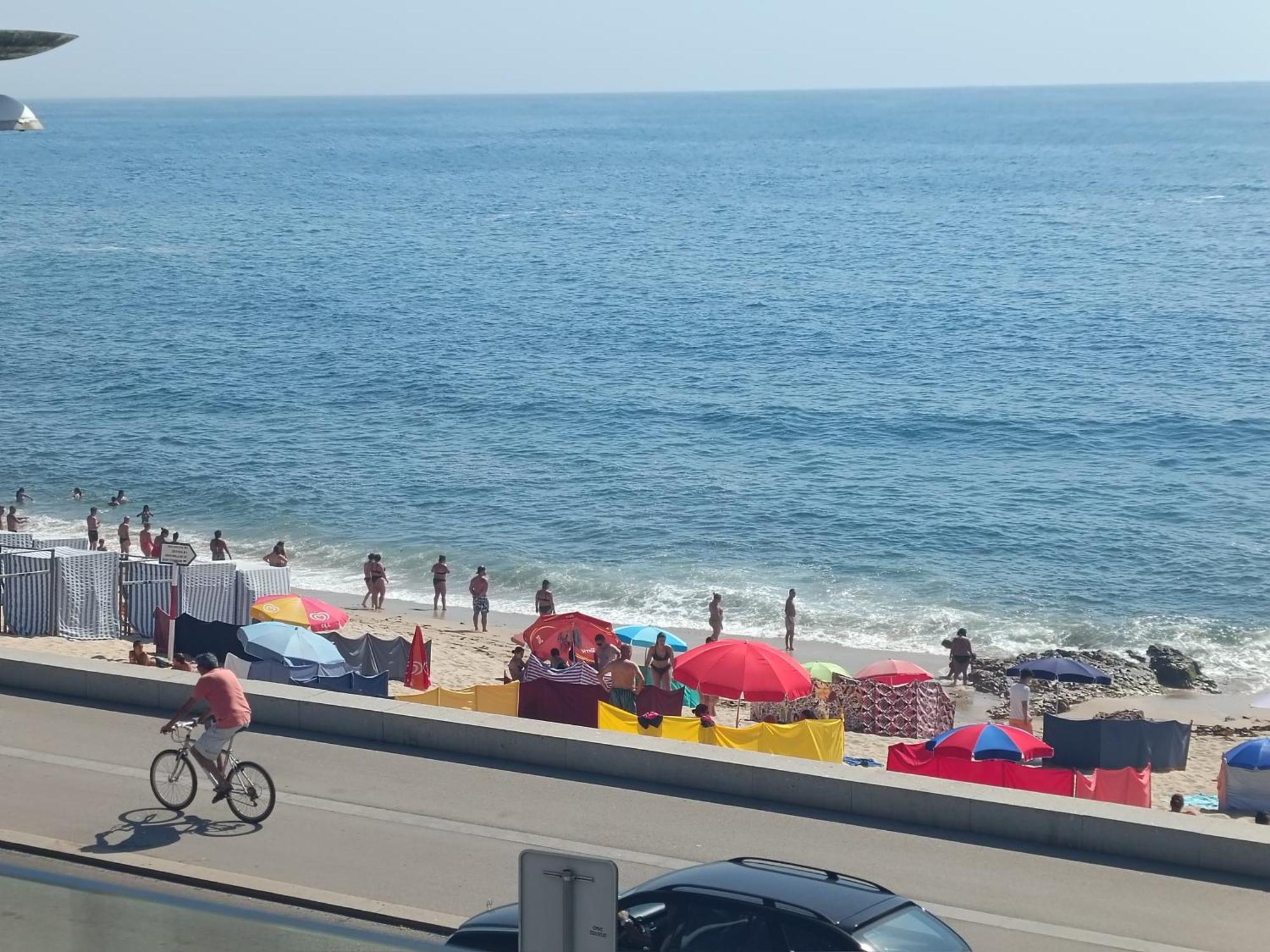 Cachinnans & Vila do Conde
