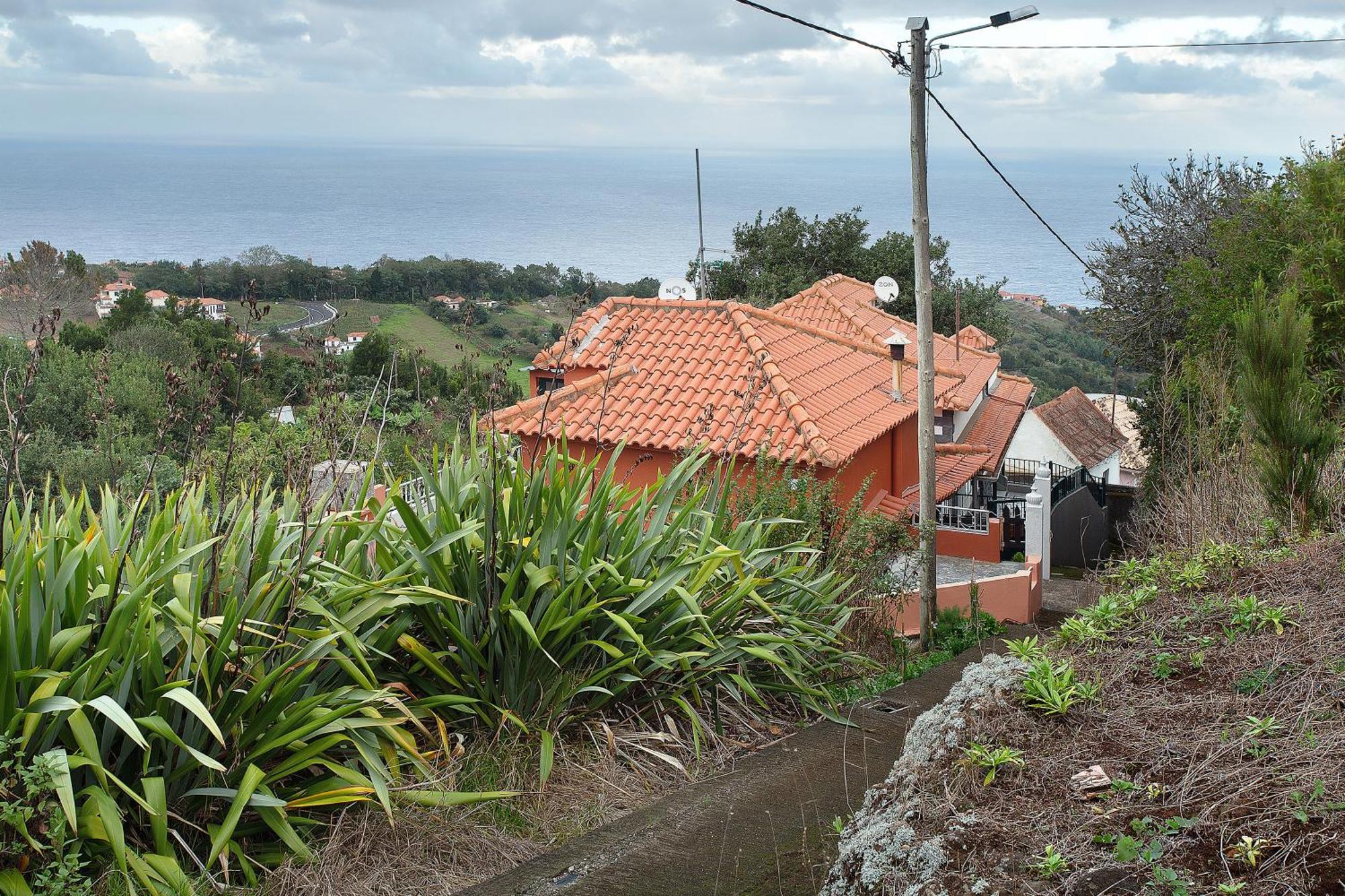 Luci's House