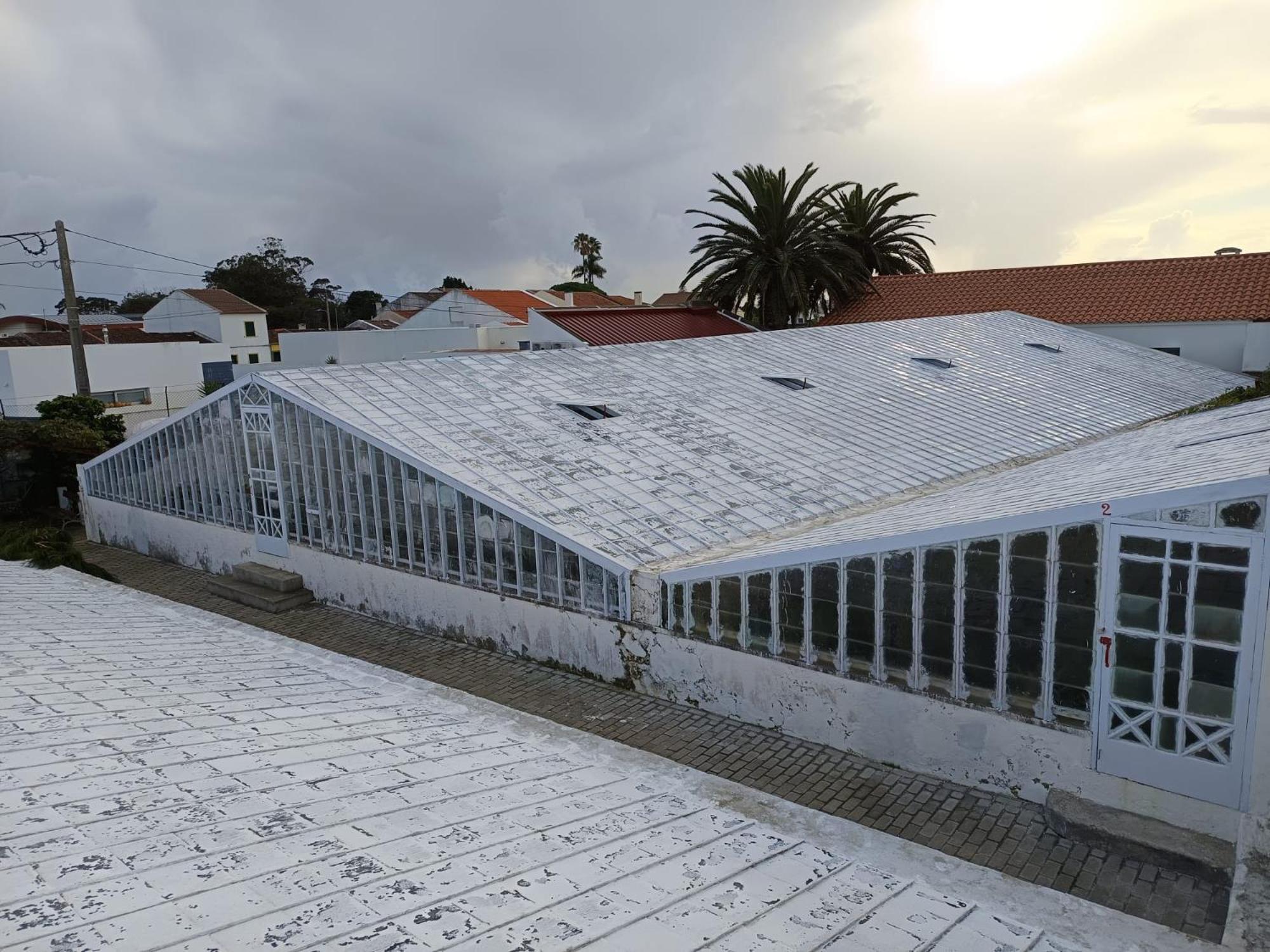 Holiday home Casa Cayenne Ponta Delgada (Sao Miguel)