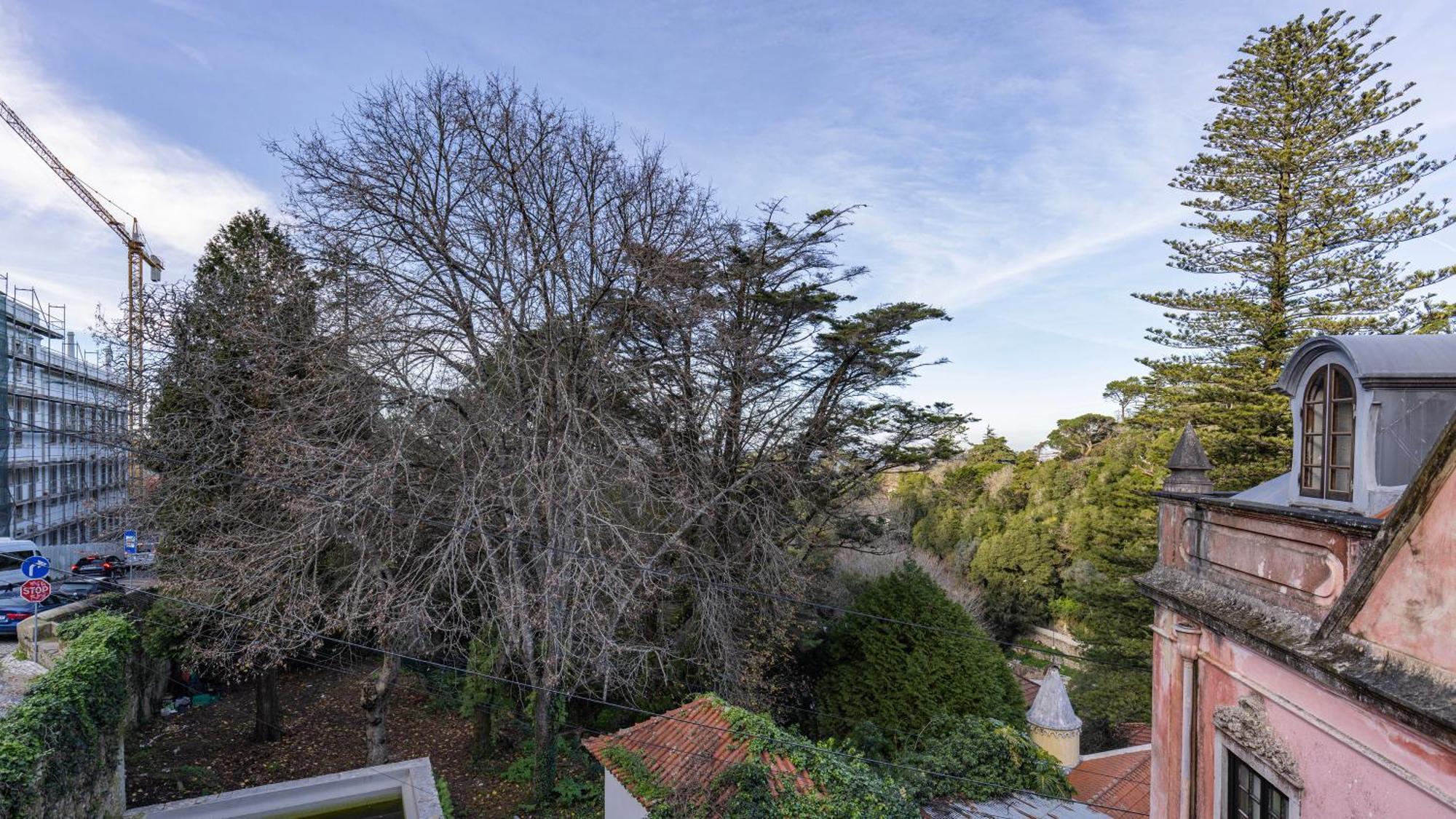 Bed & Breakfast Giant Smart Room, Hot Tub, Ps5, In Historical Center Inside 17th Century Palace - Wow Sintra