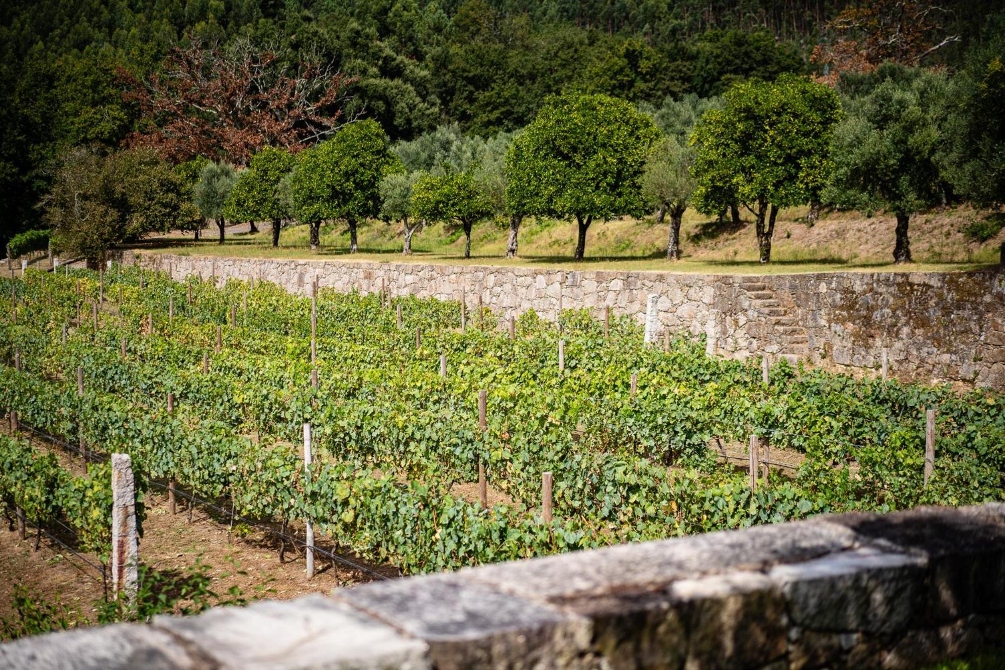 Holiday home Vinte-quinta Da Boavista *