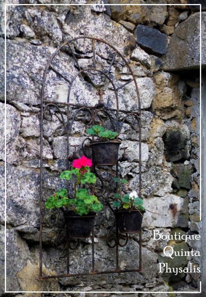 Boutique Quinta Physalis Homestay
