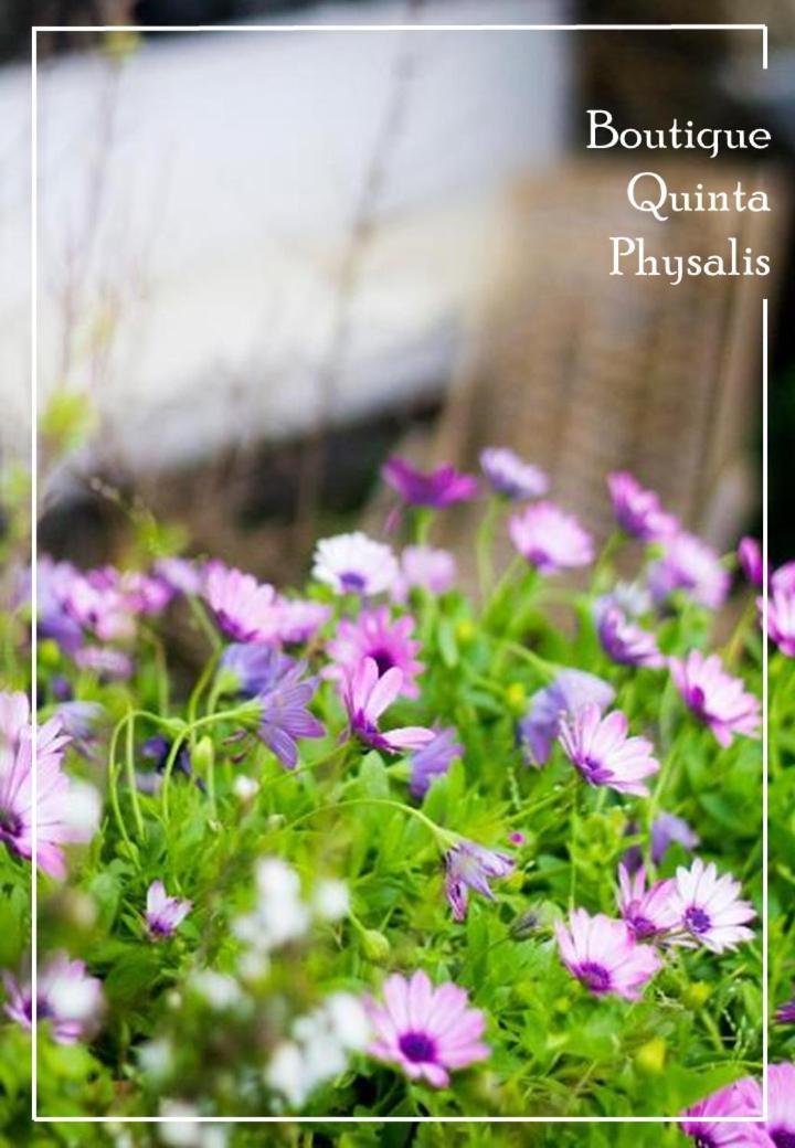Boutique Quinta Physalis Homestay *