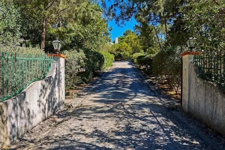 Quinta Da Tranquilidade Farm stay