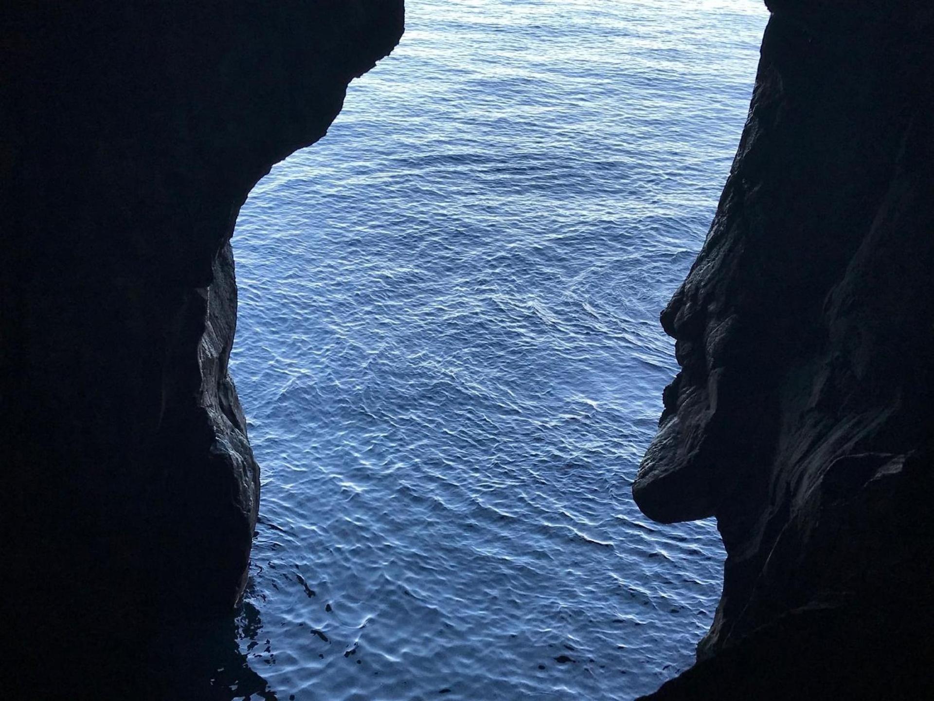 Fuer 4 Personen Ca 15 M In So Martinho, Madeira Suedkueste Von Madeira Apartment