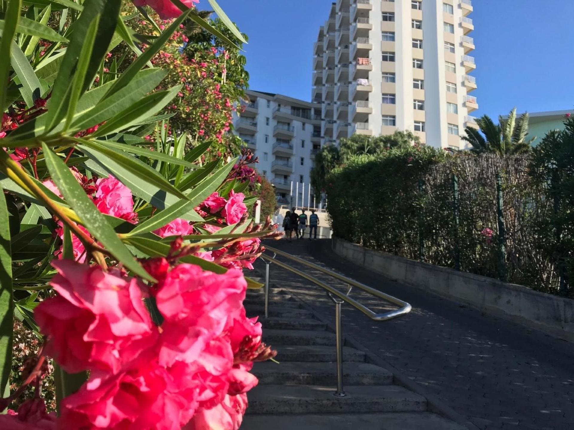 Fuer 4 Personen Ca 15 M In So Martinho, Madeira Suedkueste Von Madeira * Funchal (Madeira)