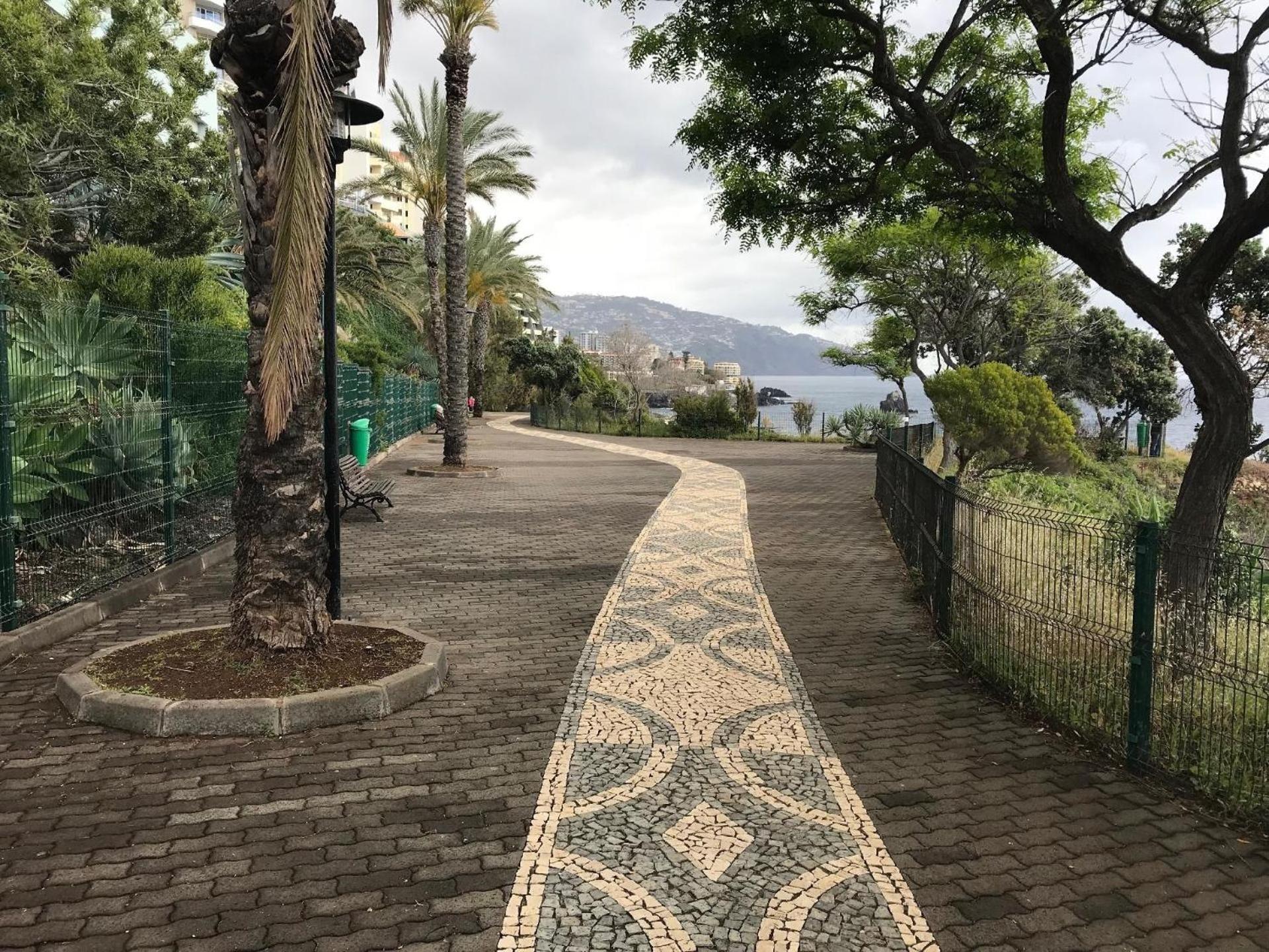 Fuer 4 Personen Ca 15 M In So Martinho, Madeira Suedkueste Von Madeira *