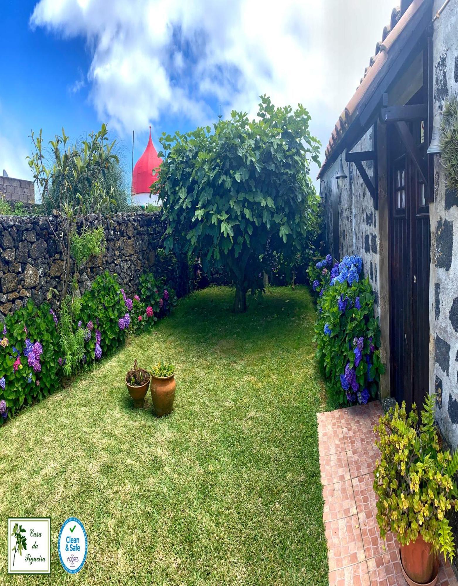 Holiday home Casa Da Figueira *