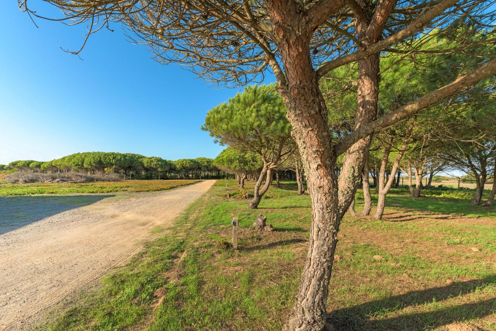 Paraiso Da Serva - Flor Do Rosto 2 Holiday home Odemira
