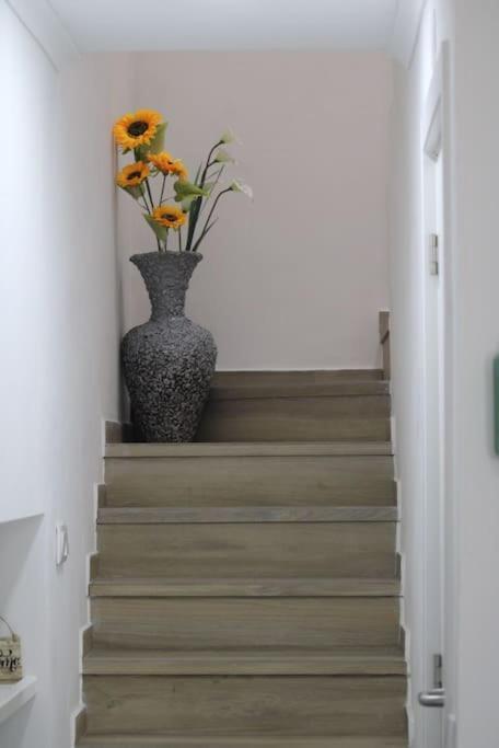 Apartment In Semeador 2 *